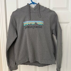 Patagonia Gray Regular Fit Jacket